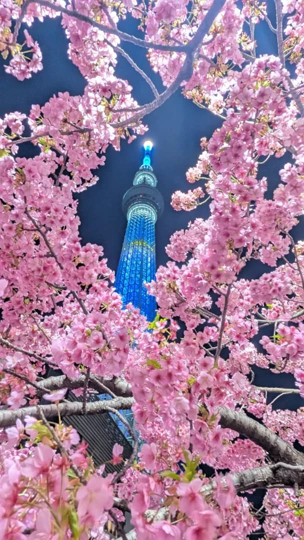 #2 アディショナルタイム