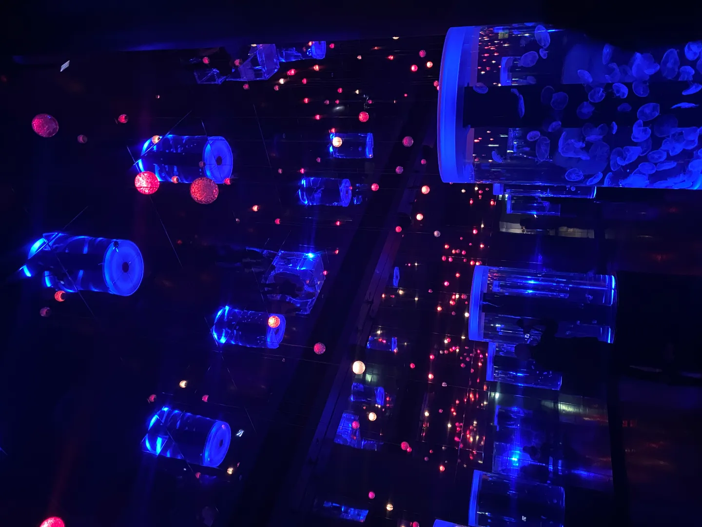 🎎雨のひな祭り