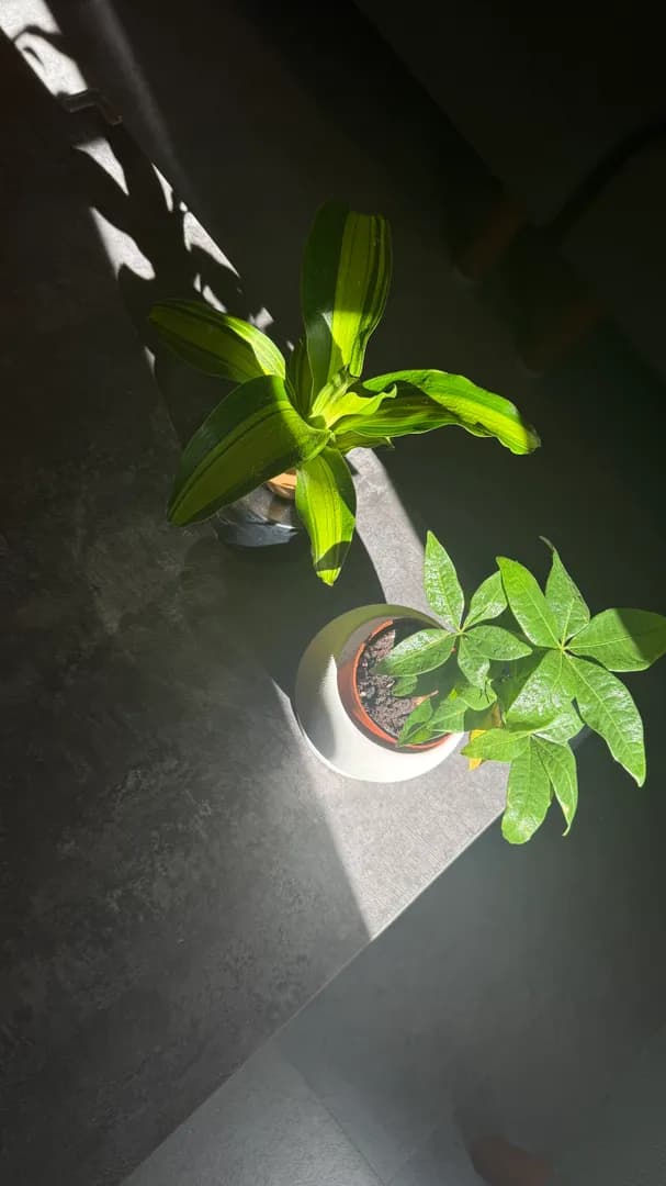 毎日何かがある訳ないけど改めて発見しにいくことも楽しいと感じてる