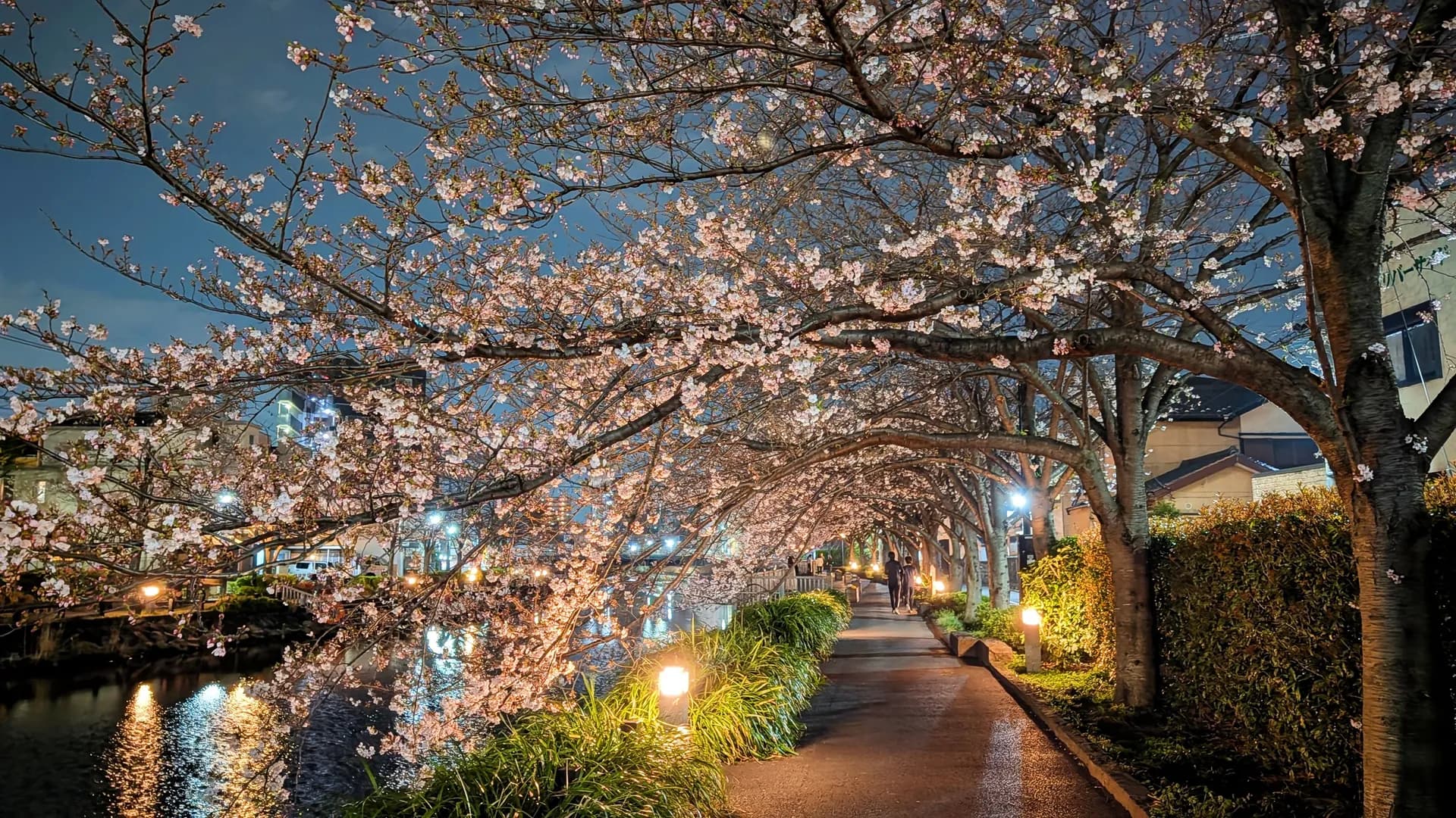 #19 帰り道は遠回りしたくなる