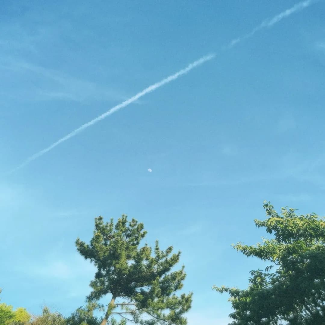 28|君はどこの誰なの