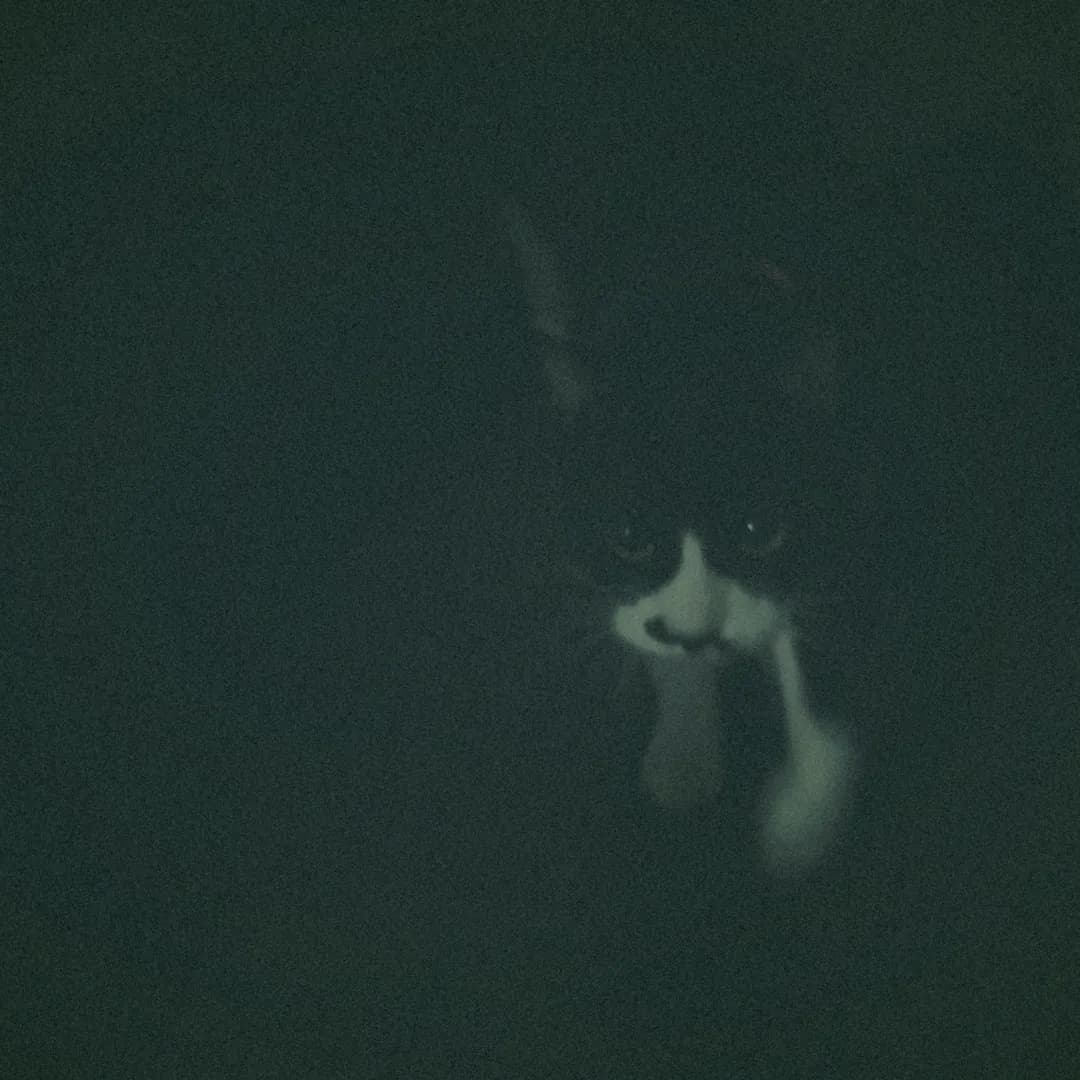31|油断できないわシャッターチャンス