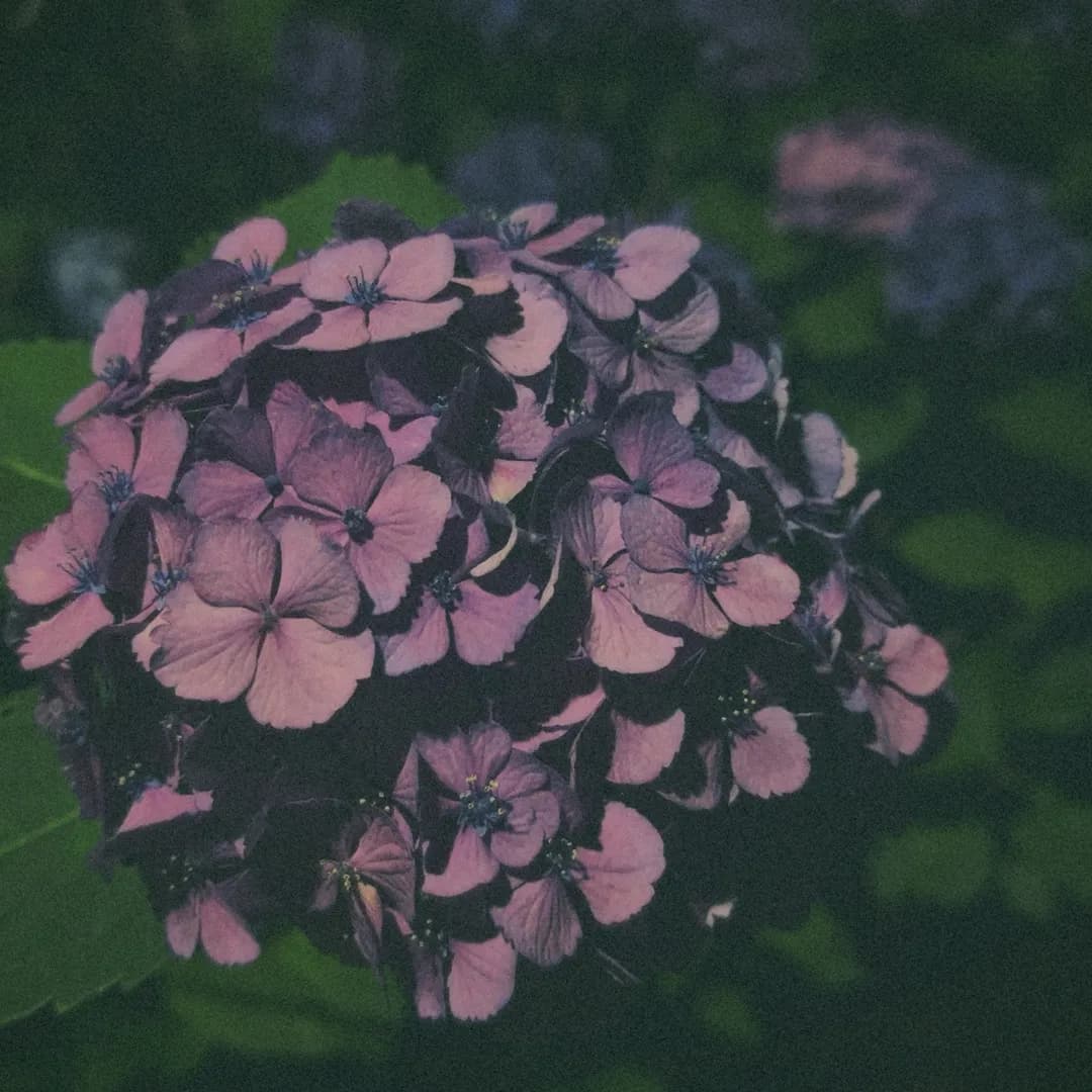 33|君って鈍感だって