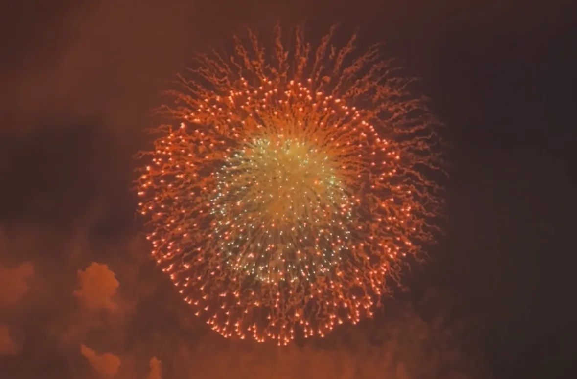 一瞬の花